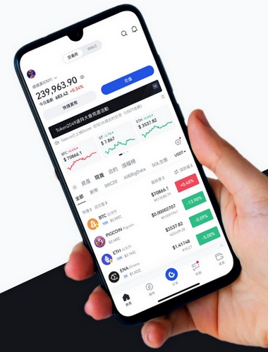 Borda Riosight - Como o aplicativo Borda Riosight aprimora sua negociação?